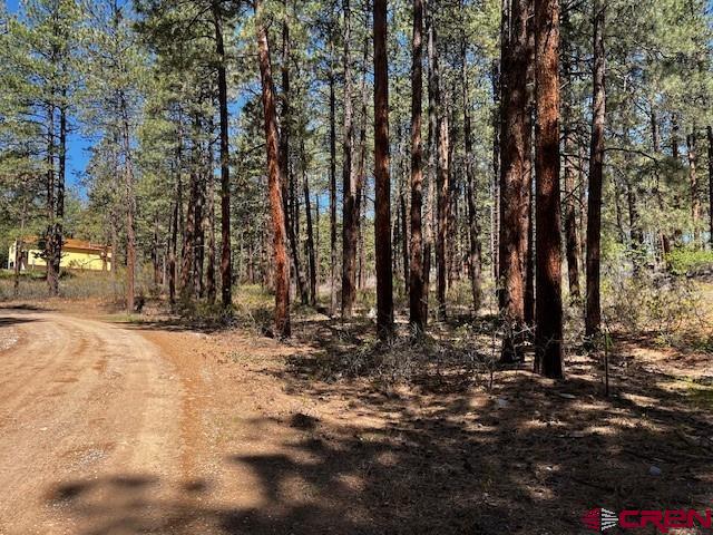 221 Badger Road Property Photo 6