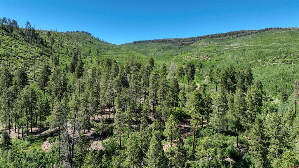 Tbd Cr 240 Property Photo