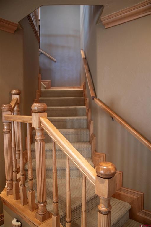 545 Timberline Trail Property Photo 25
