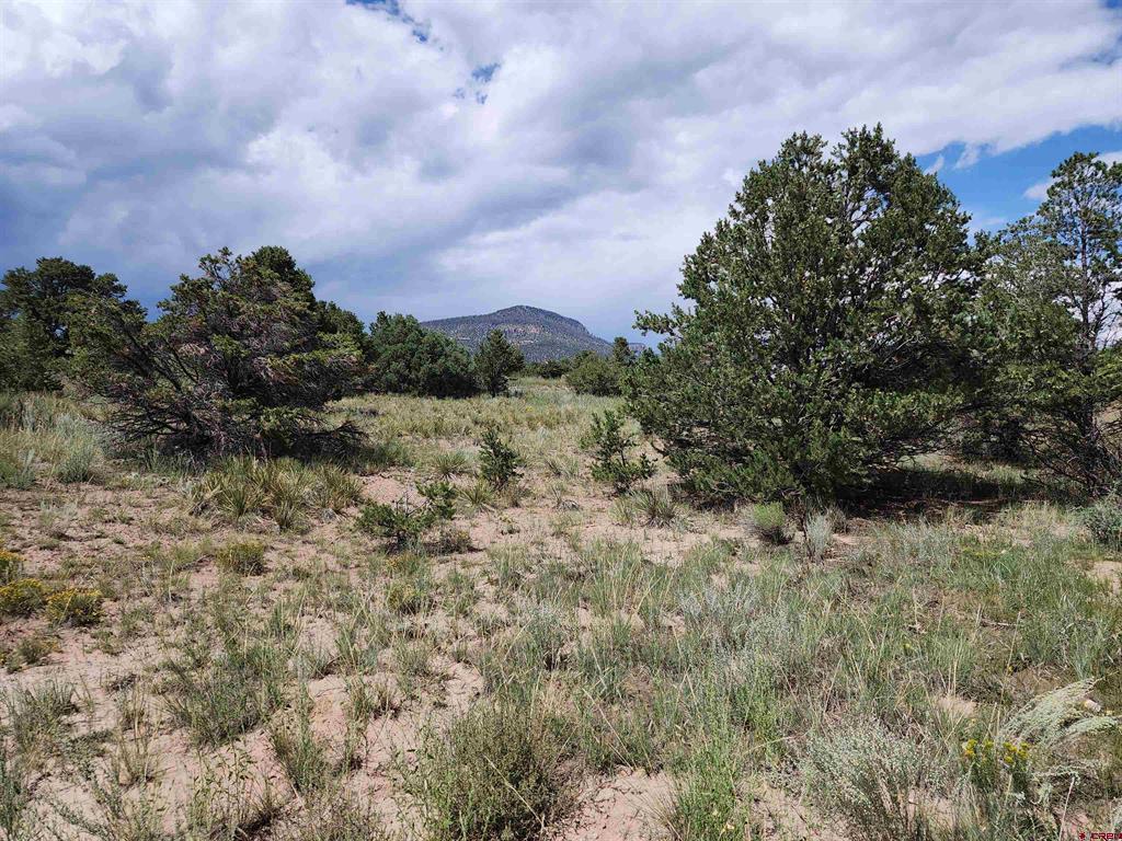 233 Berthoud Pass Road Property Photo 3