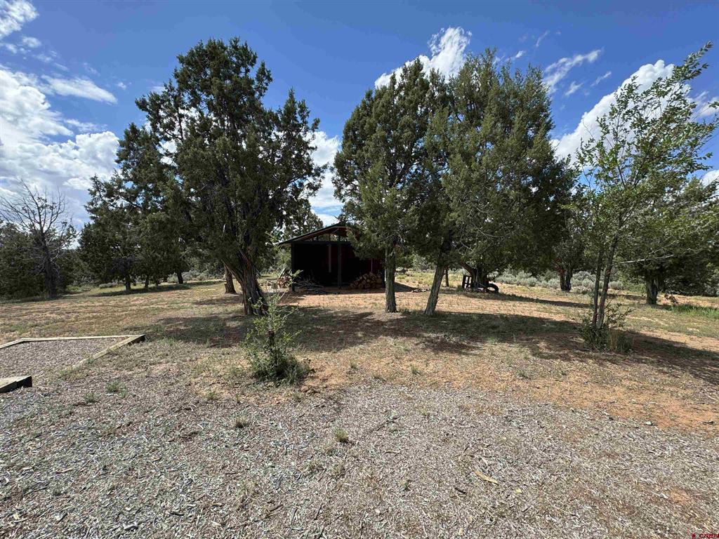 408 Road 4020 Property Photo 22