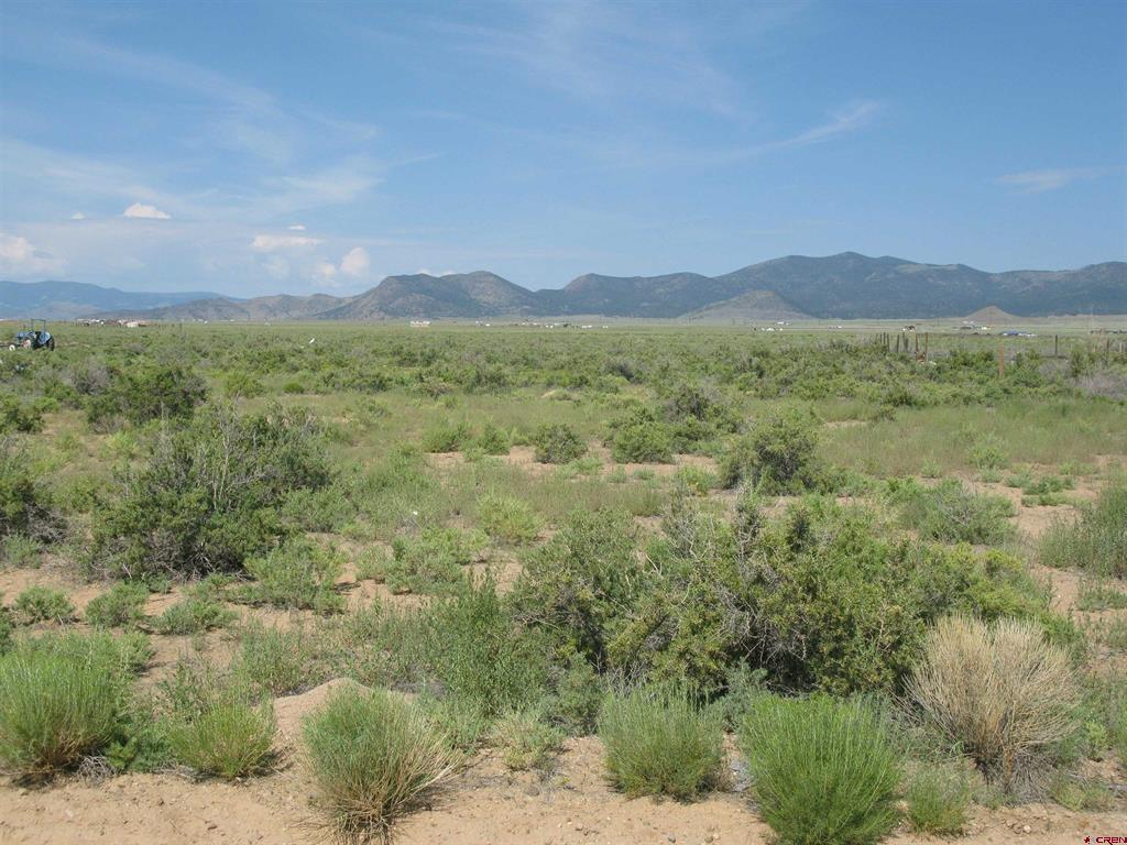 26127 Woodard Avenue Property Photo 1