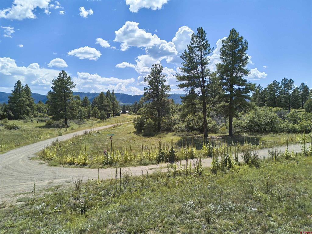 170 High Drive Property Photo