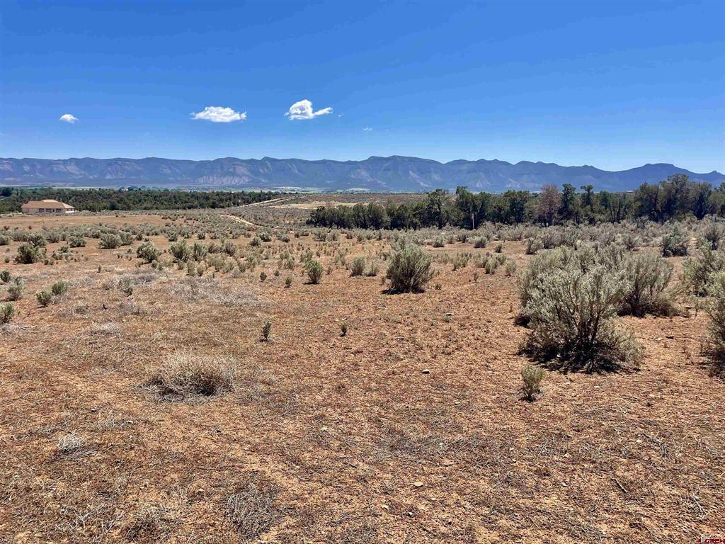 Tract 4 Road K.3 Property Photo 4