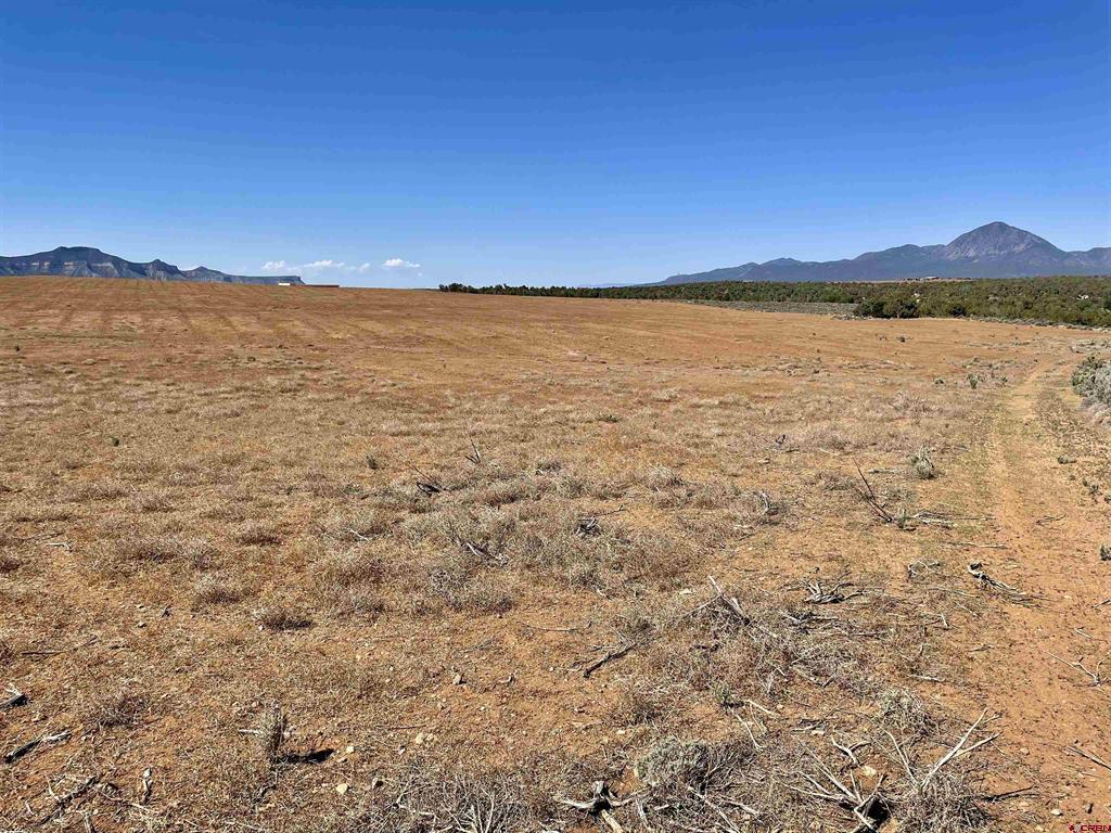 Tract 4 Road K.3 Property Photo 9