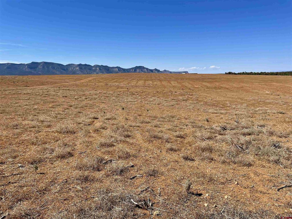 Tract 4 Road K.3 Property Photo 10