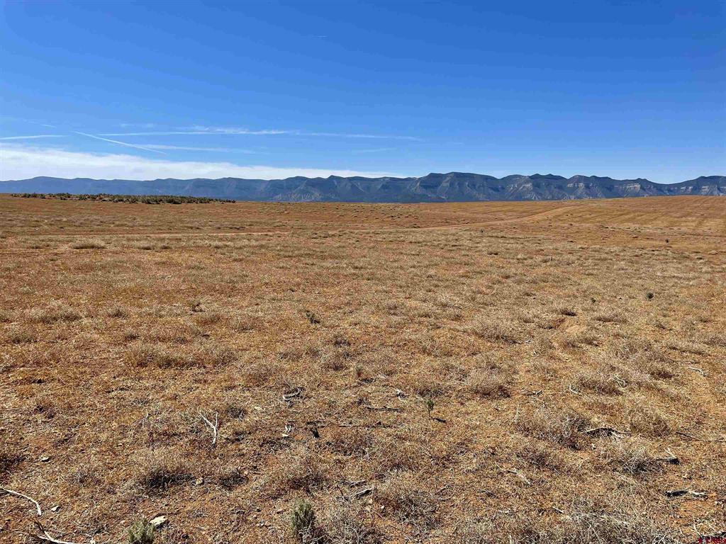 Tract 4 Road K.3 Property Photo 11
