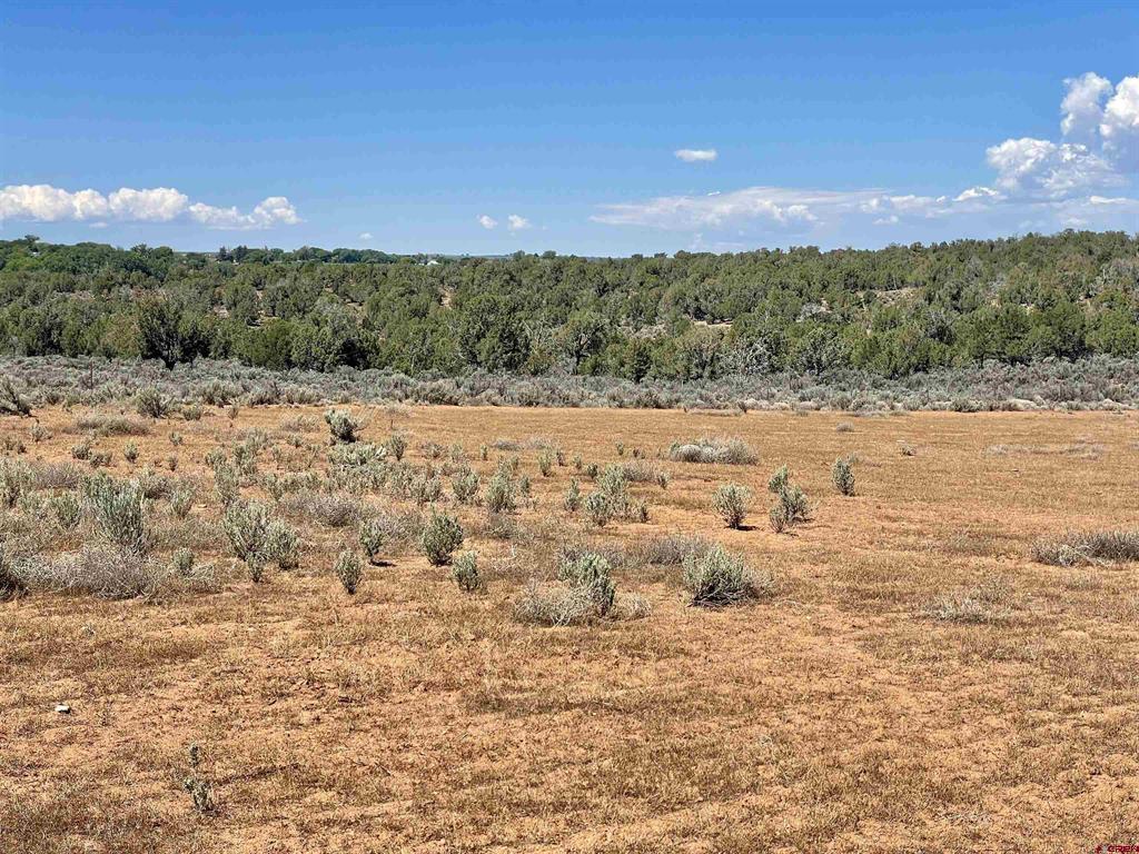 Tract 4 Road K.3 Property Photo 17