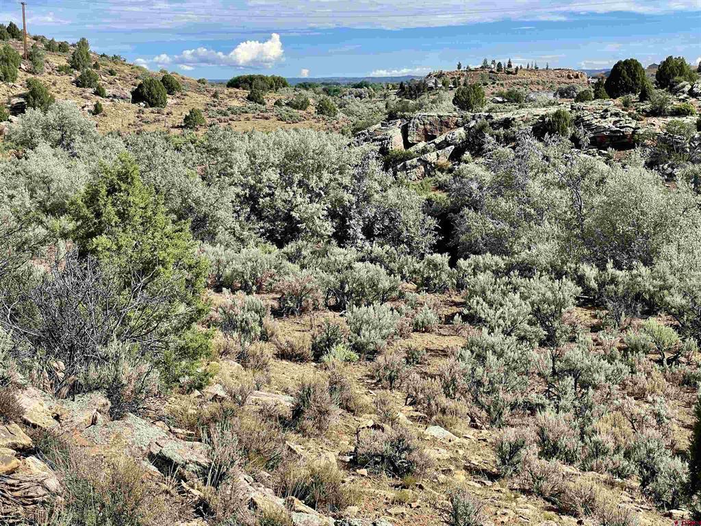 Tract 11 N Broadway Property Photo 4