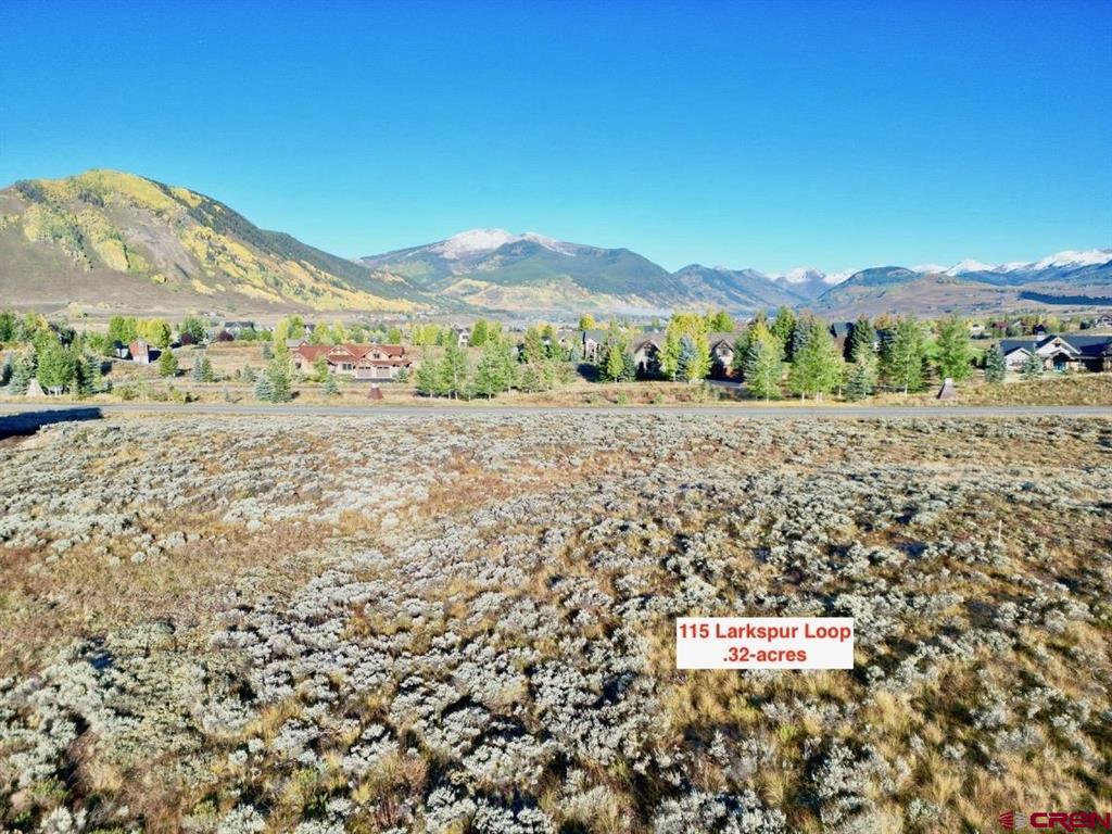 115 Larkspur Loop Property Photo 12