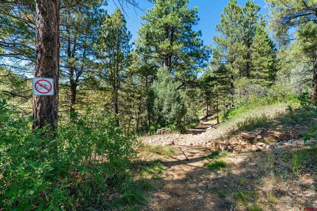 308 Silver Queen Property Photo 21