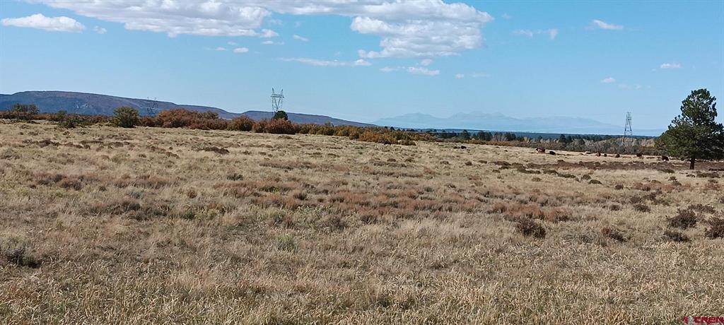 Tbd Beef Trail Road Property Photo 6