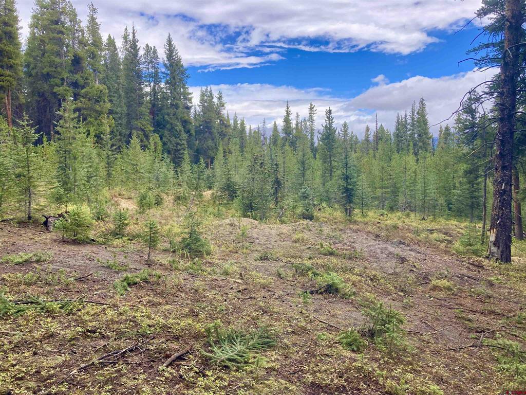 597 Saddle Ridge Road Property Photo 10