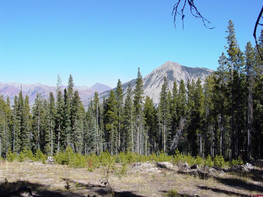 597 Saddle Ridge Road Property Photo 13