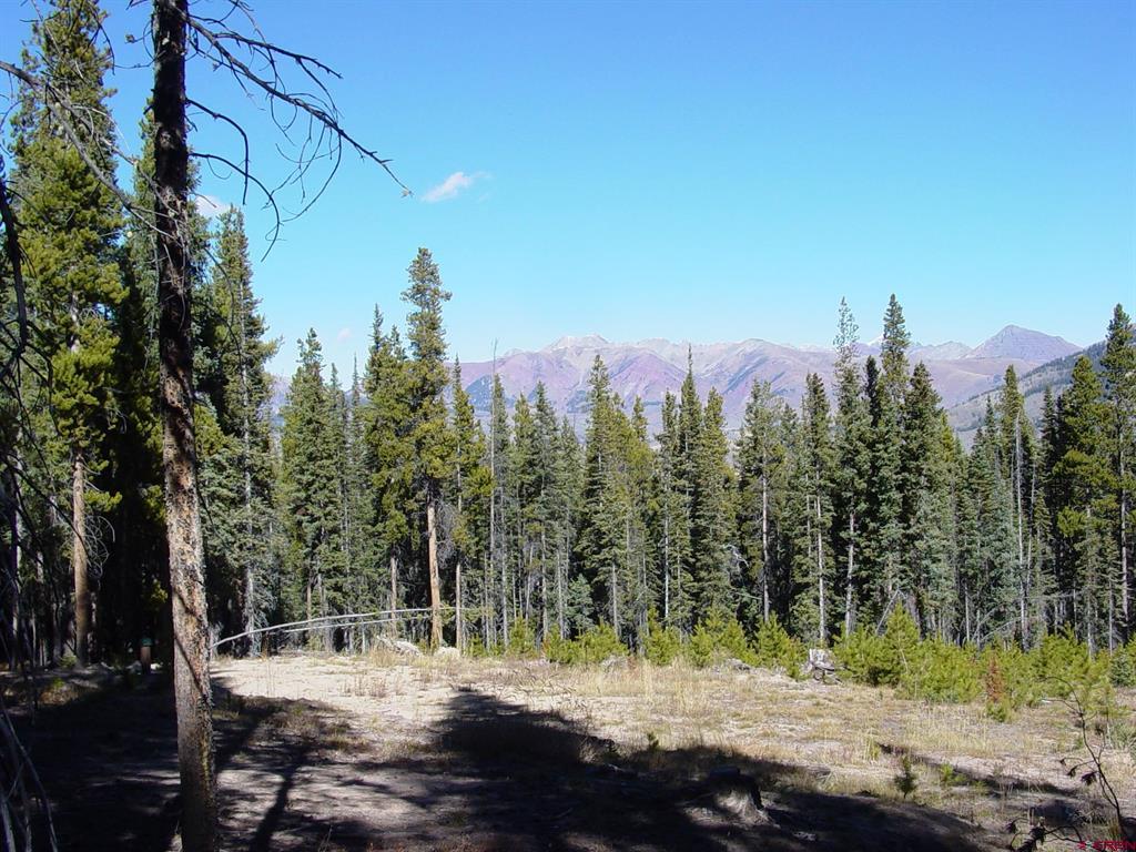 597 Saddle Ridge Road Property Photo 14