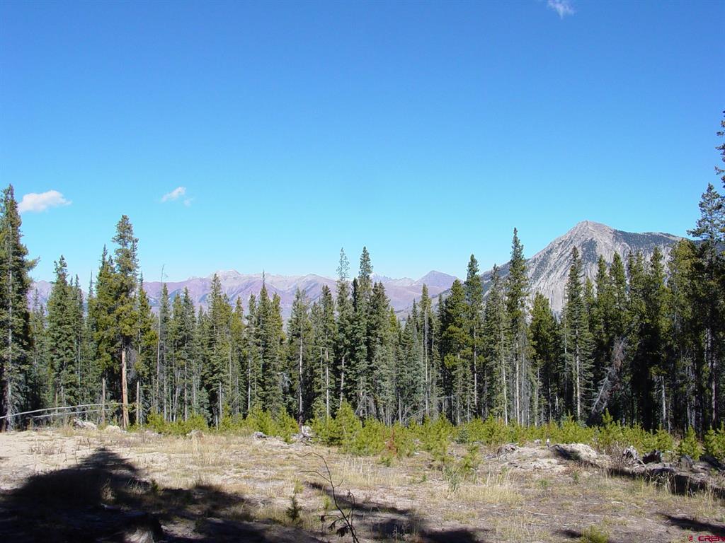 597 Saddle Ridge Road Property Photo 15