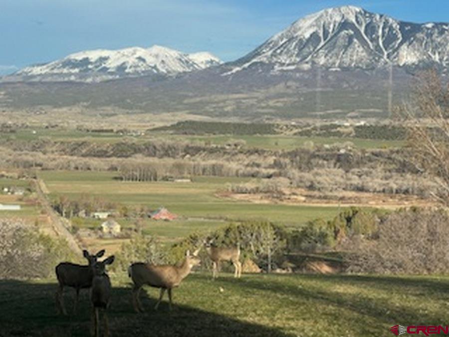 36600 Walker Springs Road Property Photo 29