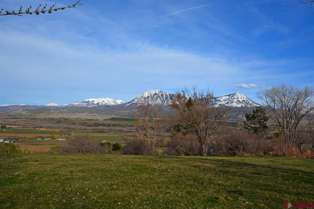 36600 Walker Springs Road Property Photo 30