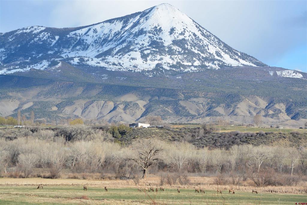 36600 Walker Springs Road Property Photo 34