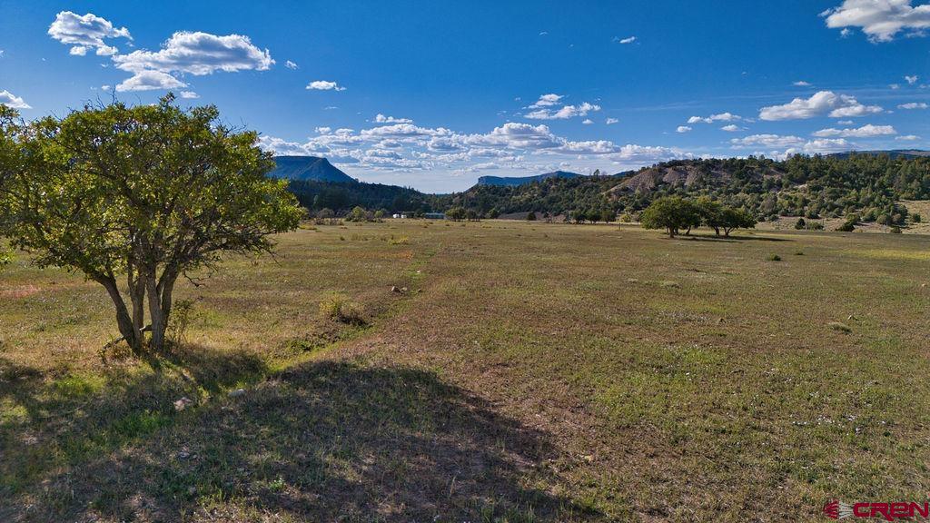 Lone Cone Real Estate Listings Main Image