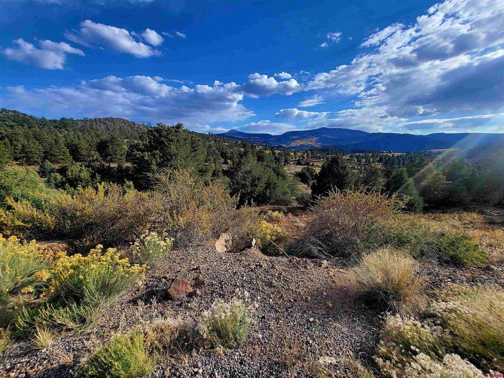 3075 Bear Creek Circle Property Photo 5