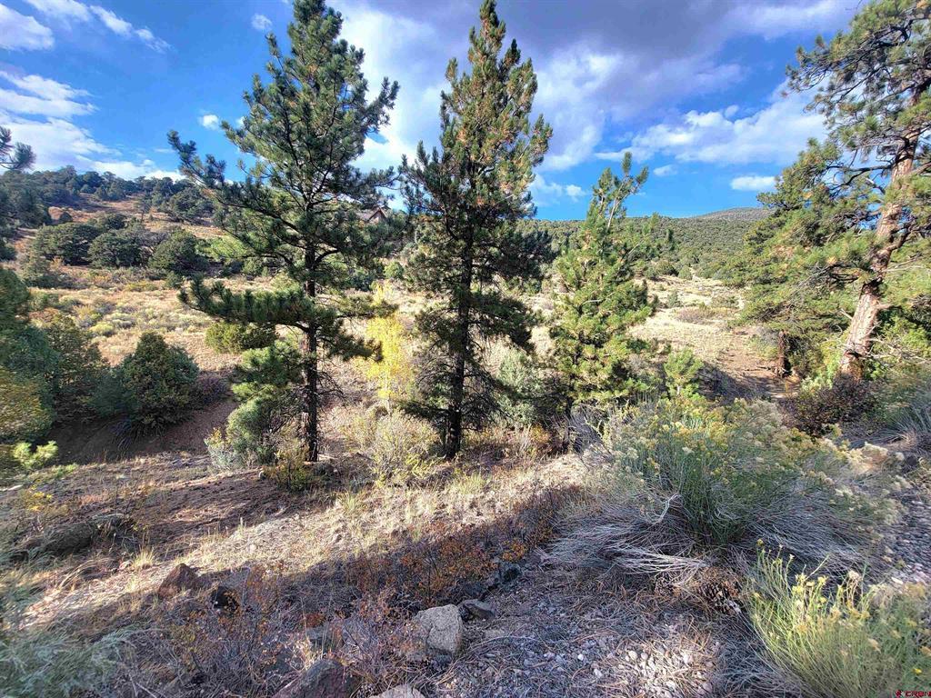 3075 Bear Creek Circle Property Photo 7