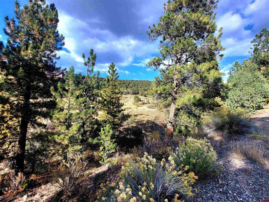 3075 Bear Creek Circle Property Photo 8