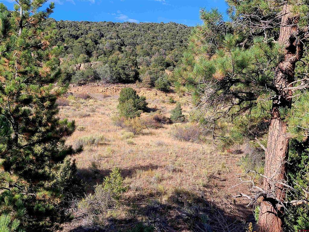 3075 Bear Creek Circle Property Photo 9