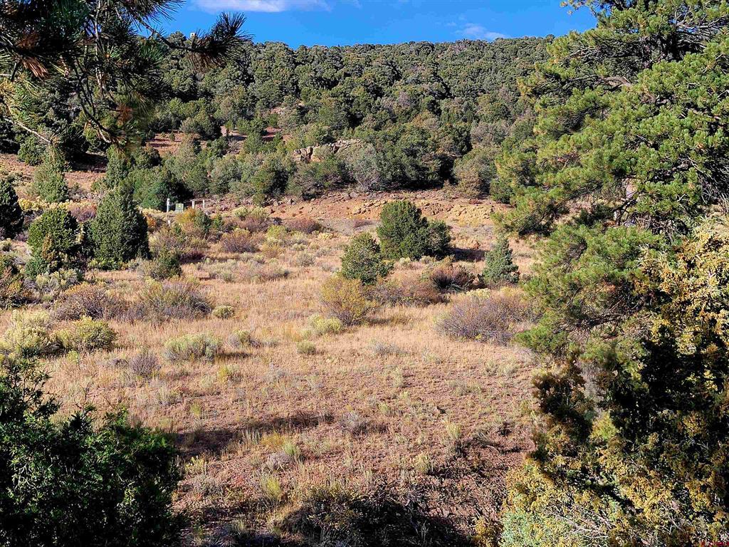 3075 Bear Creek Circle Property Photo 10