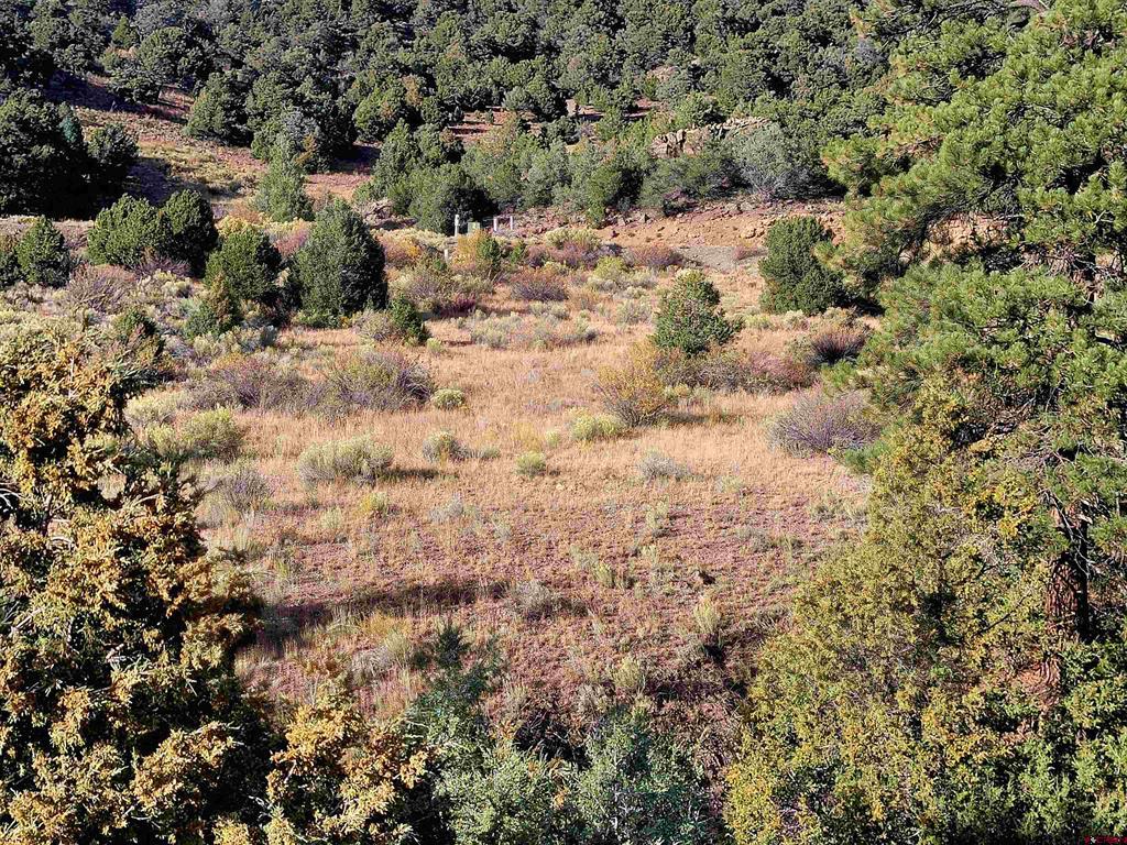 3075 Bear Creek Circle Property Photo 11