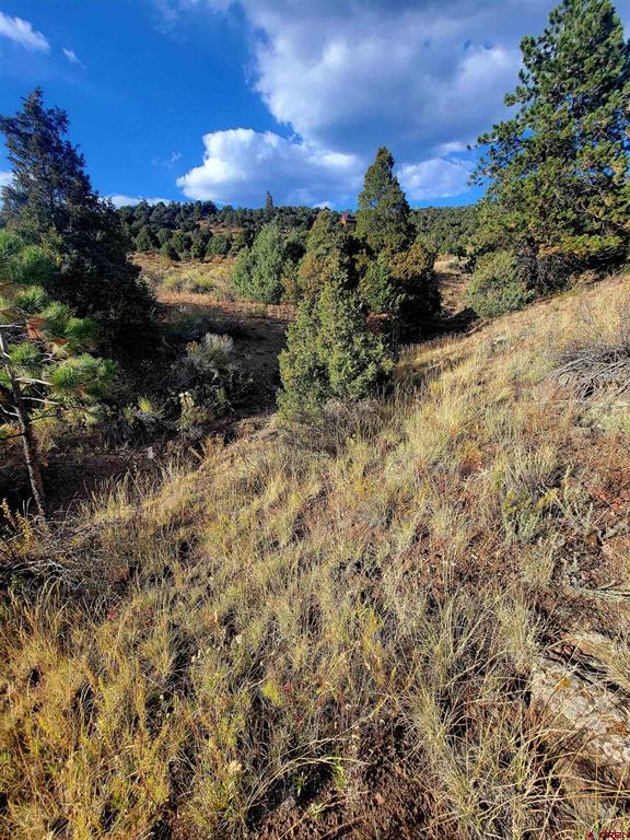 3075 Bear Creek Circle Property Photo 13
