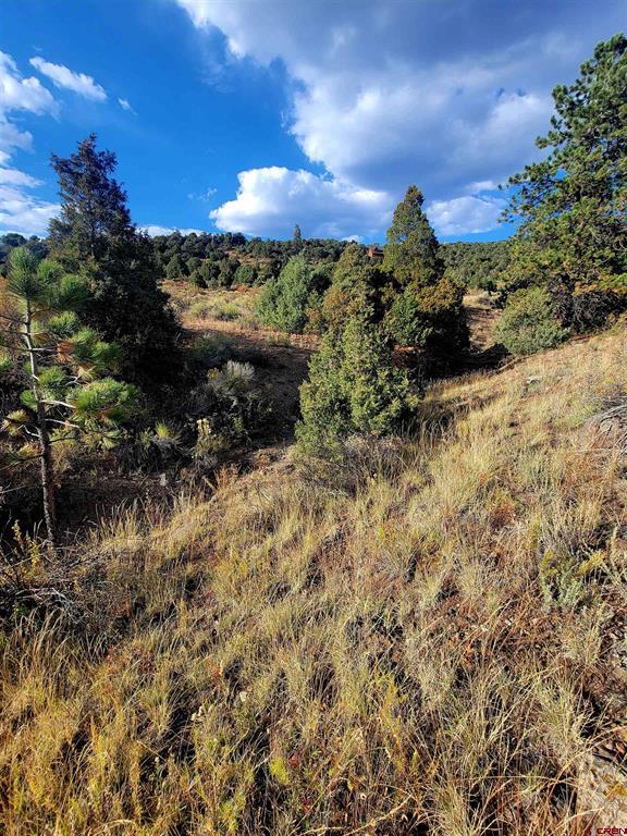 3075 Bear Creek Circle Property Photo 14