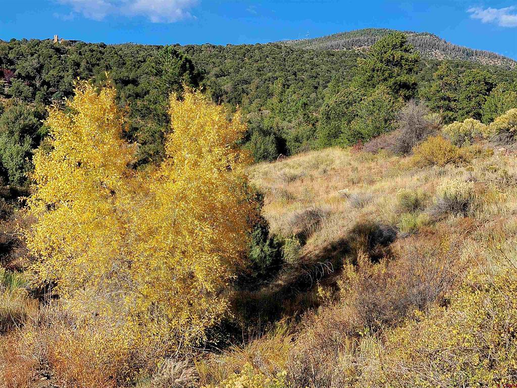 3075 Bear Creek Circle Property Photo 17