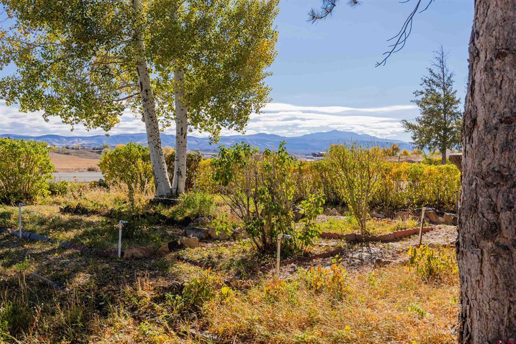 13547 6700 Road Property Photo 5