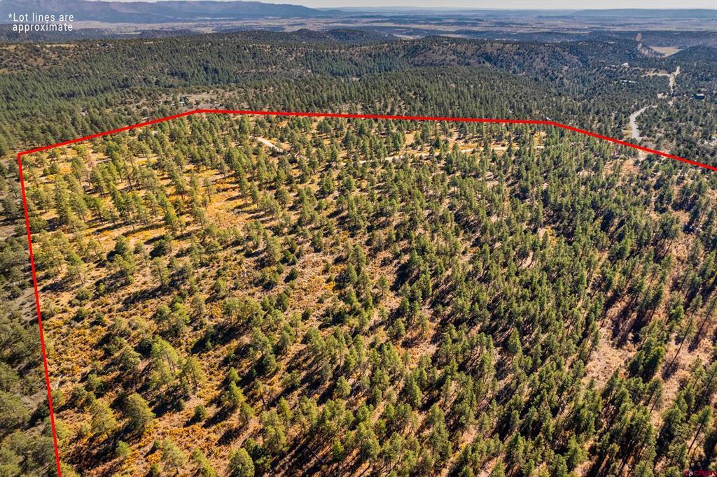 Lot 3 Foxfire Ranch Property Photo 1