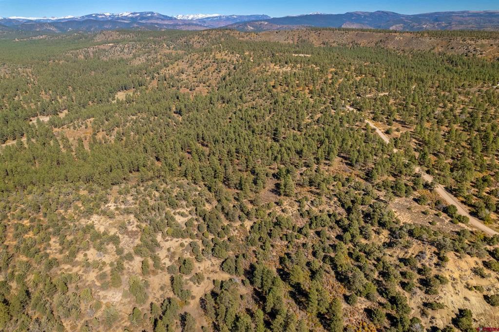Lot 3 Foxfire Ranch Property Photo 6