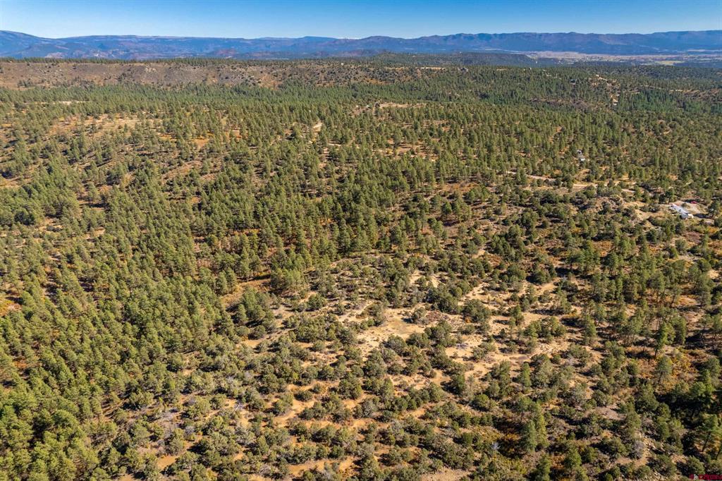 Lot 3 Foxfire Ranch Property Photo 7