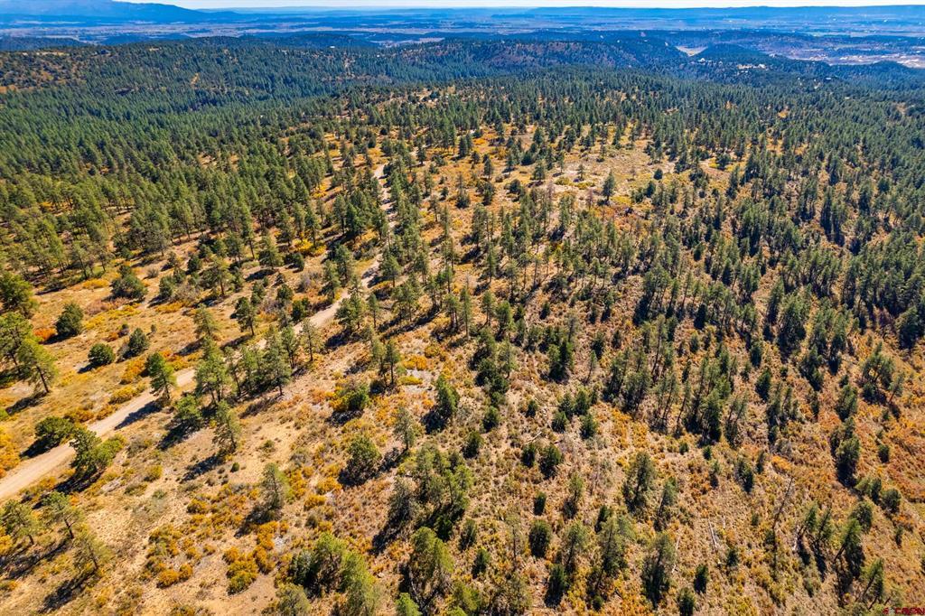 Lot 3 Foxfire Ranch Property Photo 13