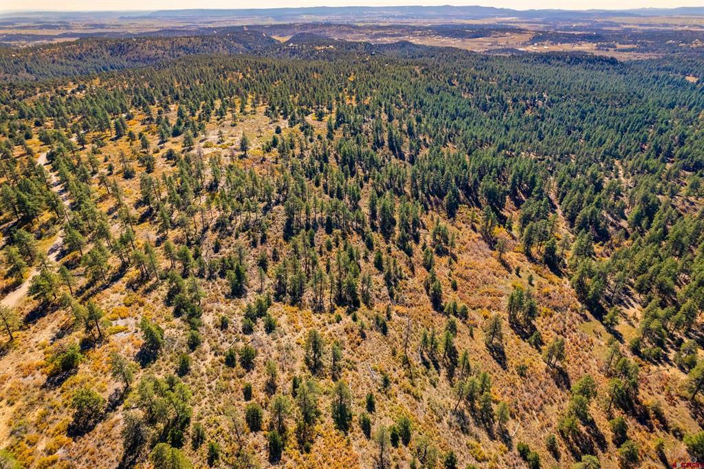 Lot 3 Foxfire Ranch Property Photo 14