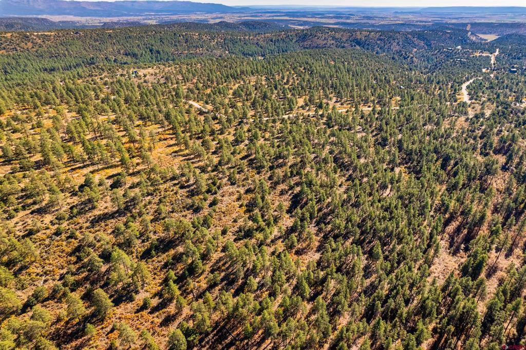 Lot 3 Foxfire Ranch Property Photo 15