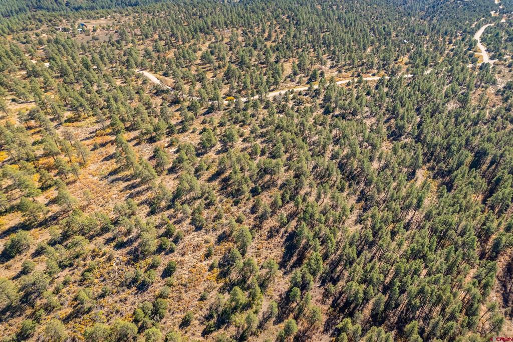Lot 3 Foxfire Ranch Property Photo 16