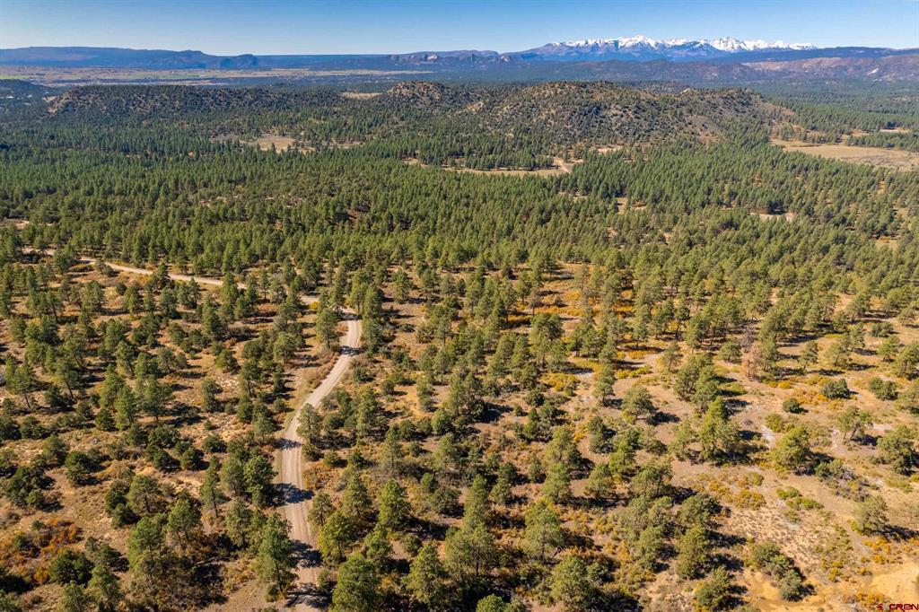 Lot 3 Foxfire Ranch Property Photo 18