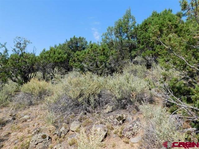 240 Se Flintlock Court Property Photo 4