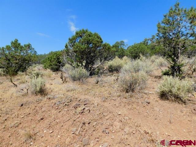 240 Se Flintlock Court Property Photo 5