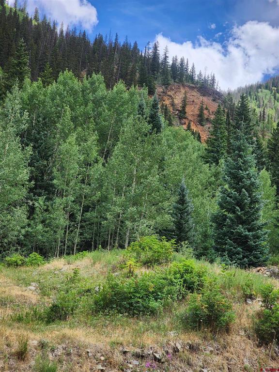 Tbd Cunningham Gulch Property Photo 1