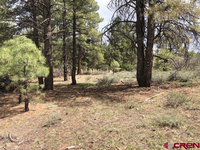 166 Stevens Circle Property Photo