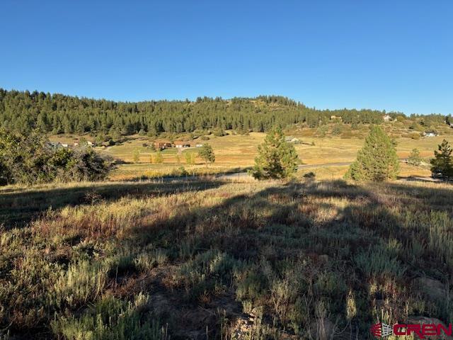 3898 N Pagosa Boulevard Property Photo