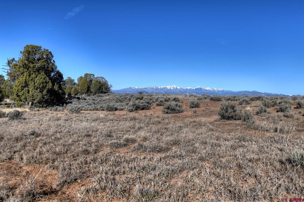 Tbd Vista De La Plata Circle Property Photo 2