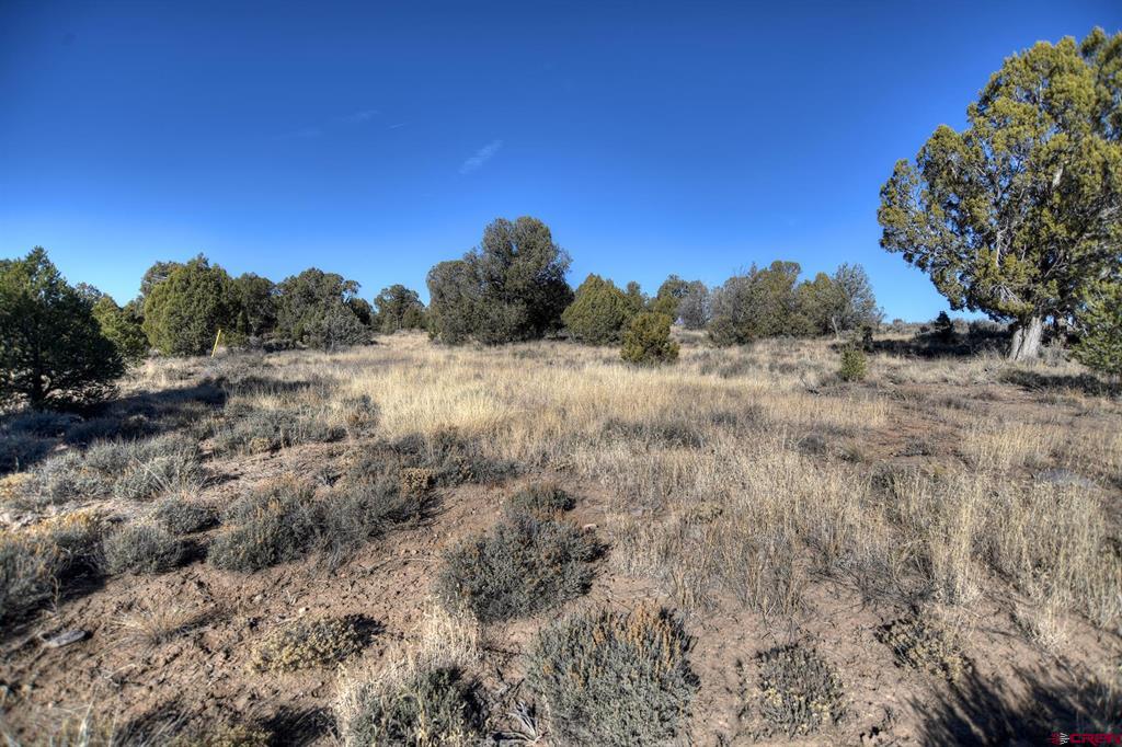 Tbd Vista De La Plata Circle Property Photo 3