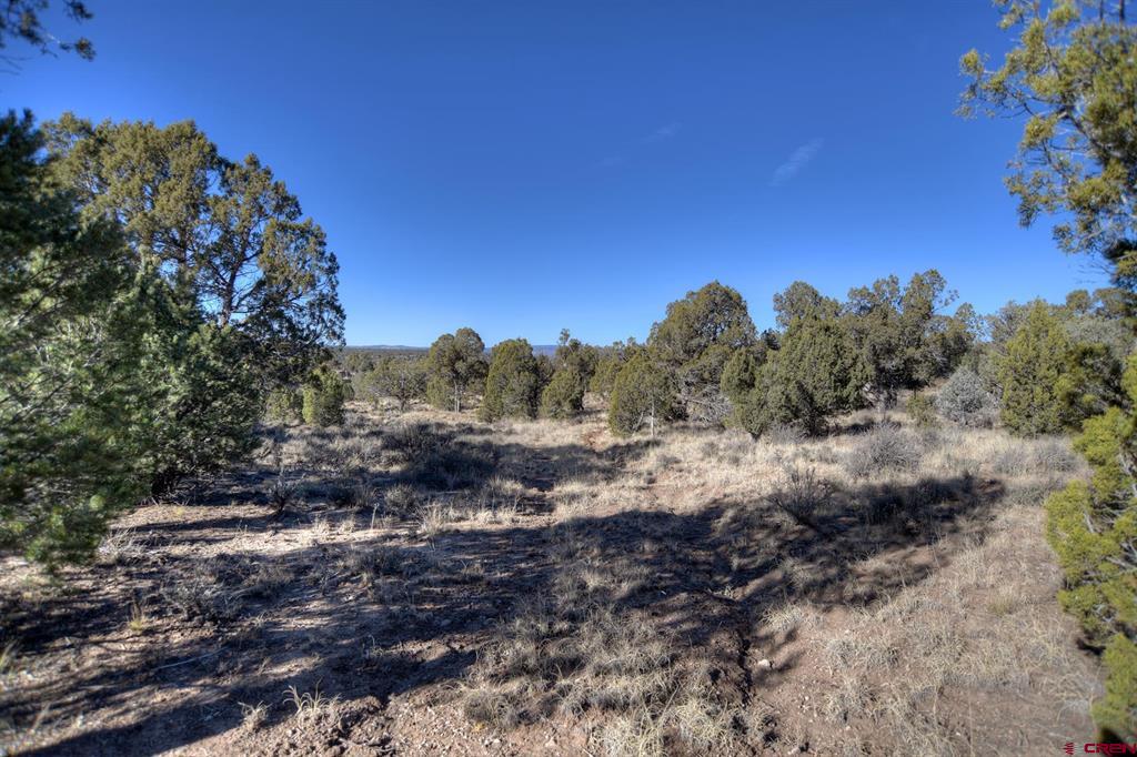 Tbd Vista De La Plata Circle Property Photo 5